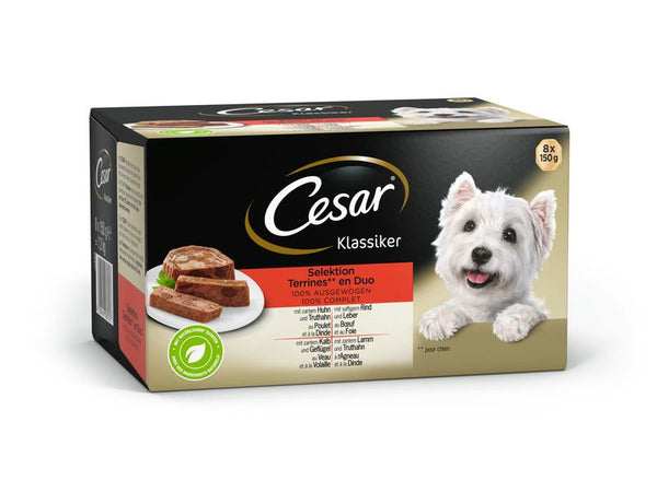 Selezione di cibo umido Cesar classico, 8 x 150 g