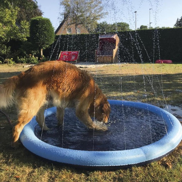 Nobby Piscina per cani Splash