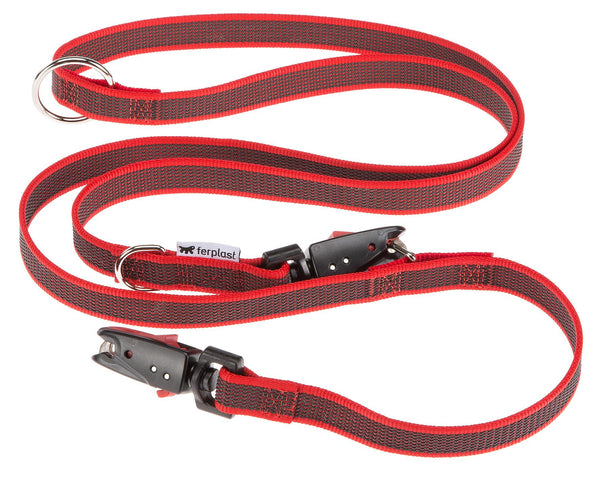 Dog Guided Leash Daytona