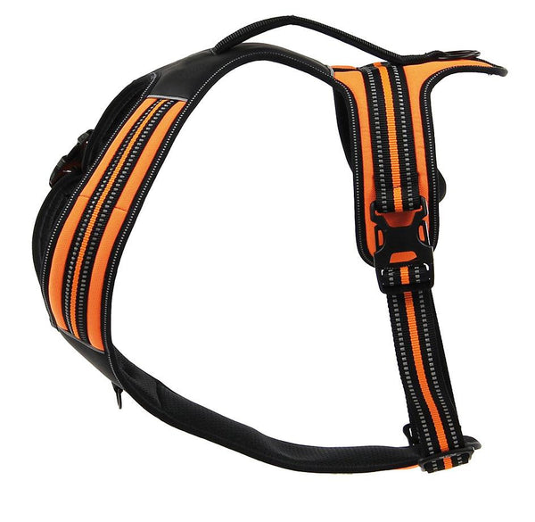 Dog Harness Adven