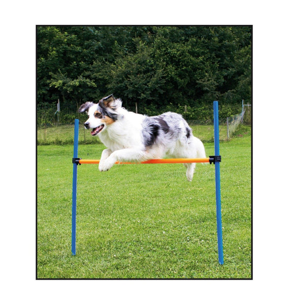 Agility Hurdles Set