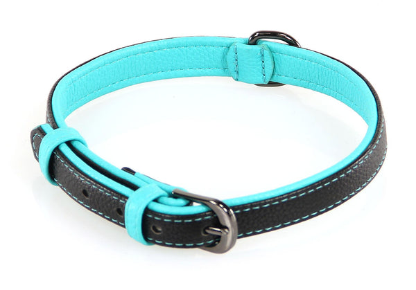 Collar Dover