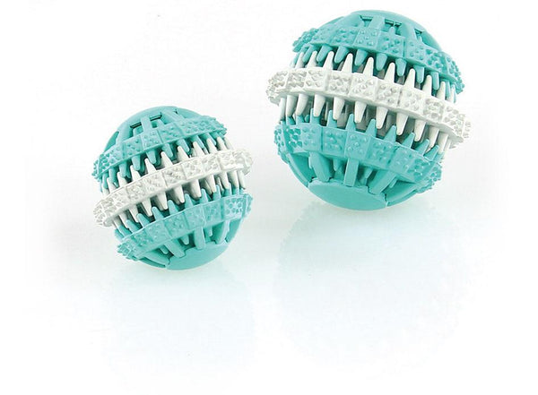 Giocattoli per cani Dental Ball Mint