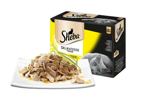 Sheba cibo umido prelibatezza in gelatina variante pollame 40x85g