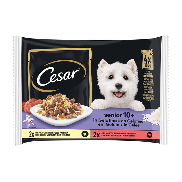 Cesar Pouch Senior 10+