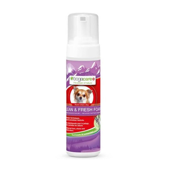 bogar schiuma per pelo Clean & Fresh Foam