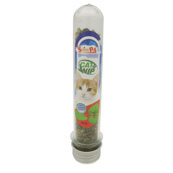 Catnip