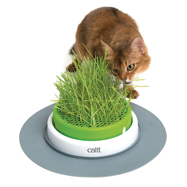 Catit Gras Planter