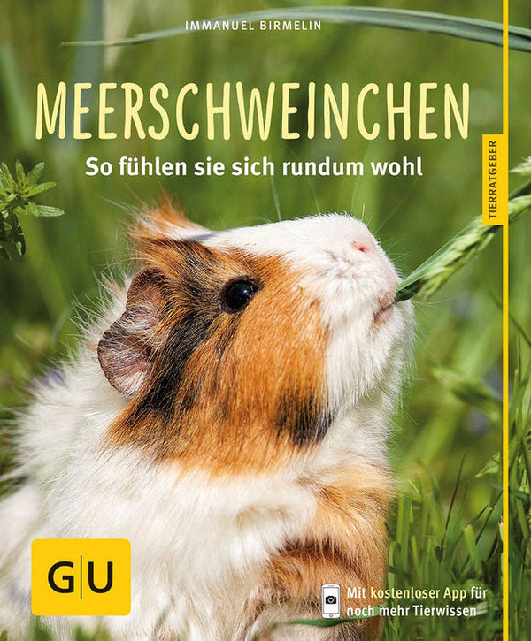 GU Meerschweinchen