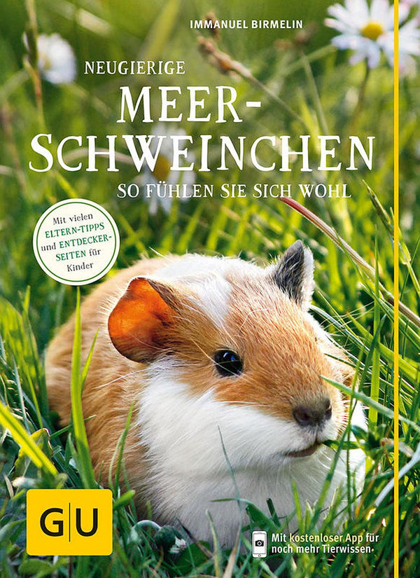 GU Neugierige Meerschweinchen