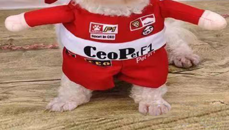 Costume da pilota